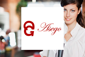 Web de ASEGO. Asociacion Española de Gobernantas de Hotel.