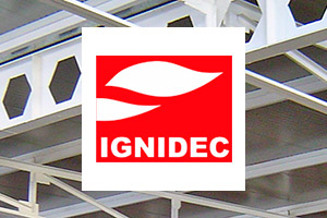 Web de Ignidec.
